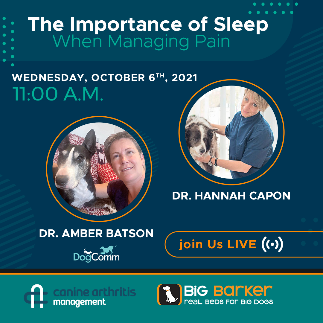 Arthritis Awareness Week | Day 3 | The Importance of Sleep When Managing Pain