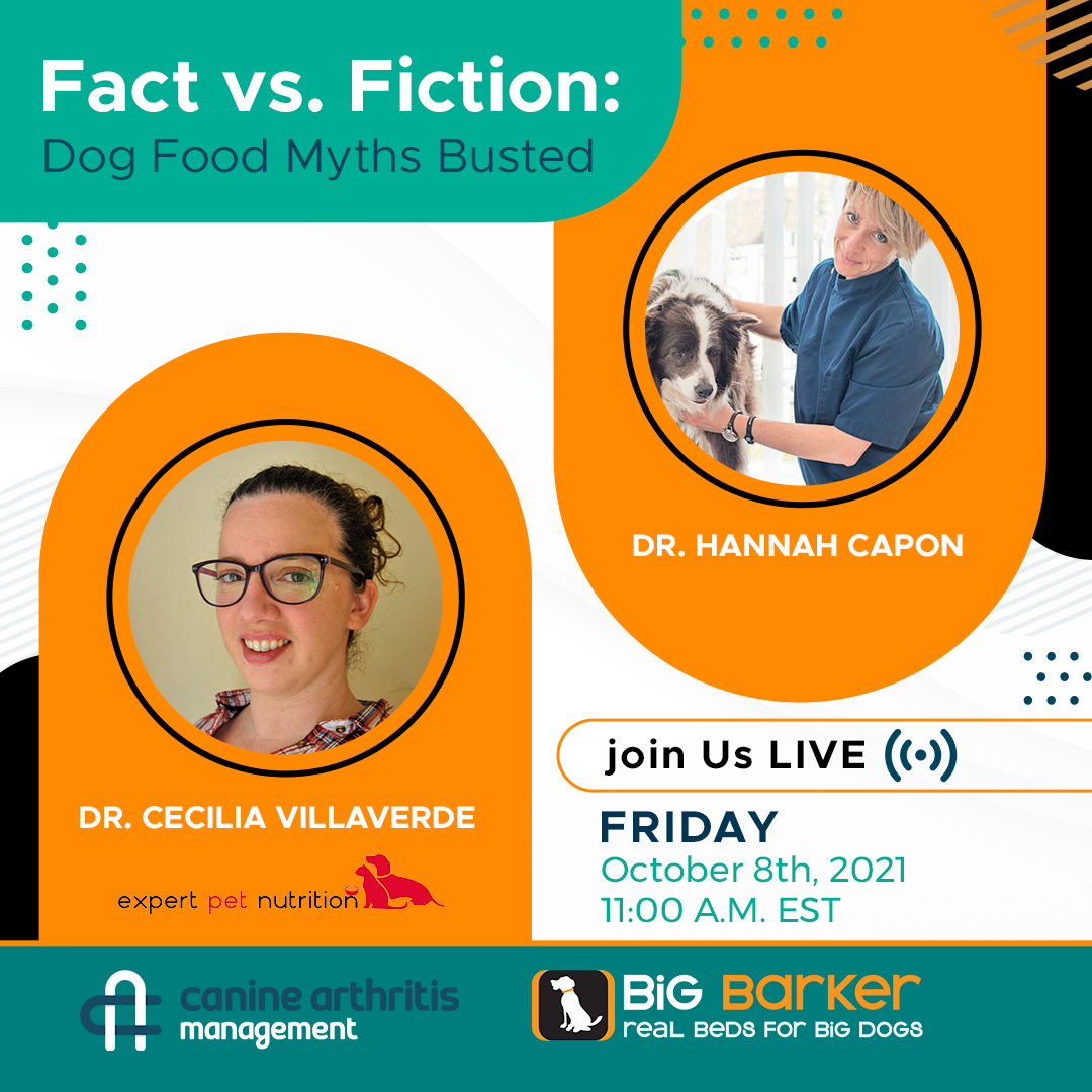 Fact vs. Fiction: Dog Food Myths Busted  | Arthritis Awareness Week Day 5 | Dr. Hannah Capon and Dr. Cecilia Villaverde