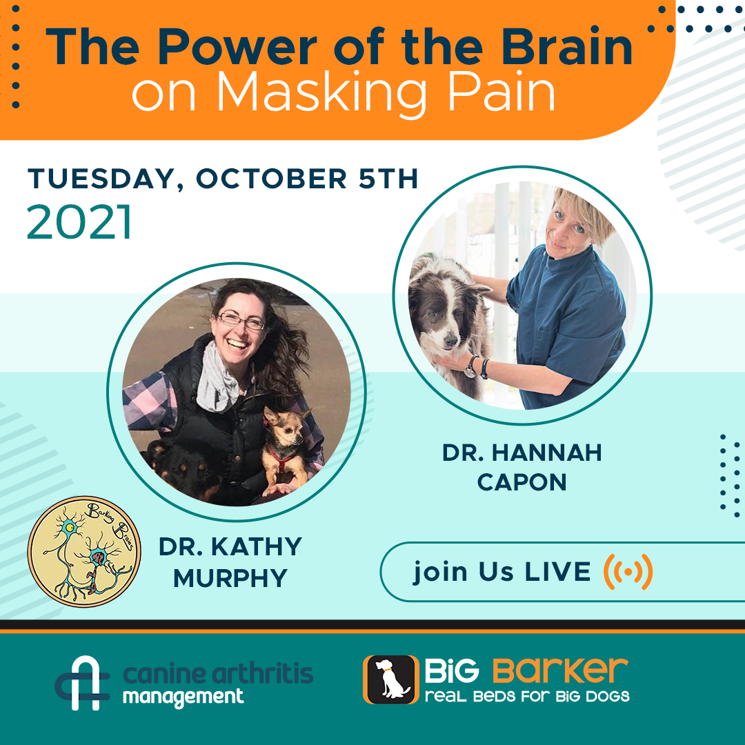 The Power of the Brain on Masking Pain  | Arthritis Awareness Week Day 2 | Dr. Hannah Capon and Dr. Kathy Murphy
