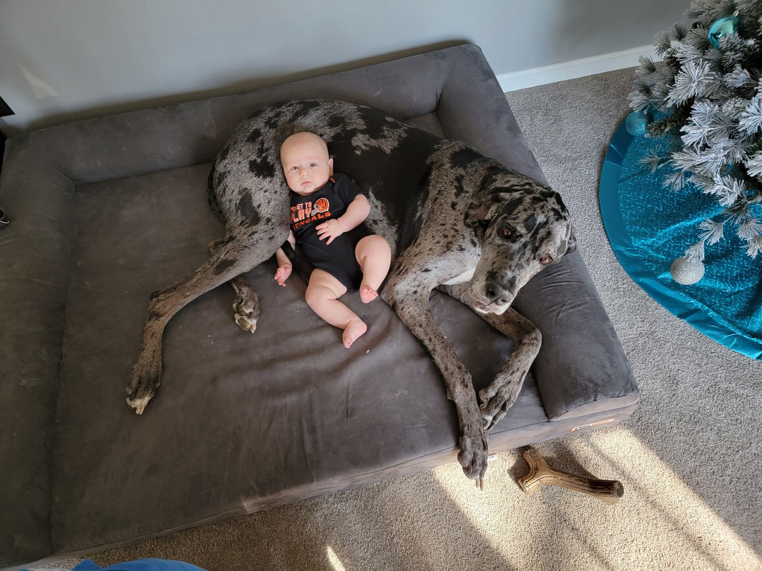 Cuddle Up With Your Pup Contest Winners!
