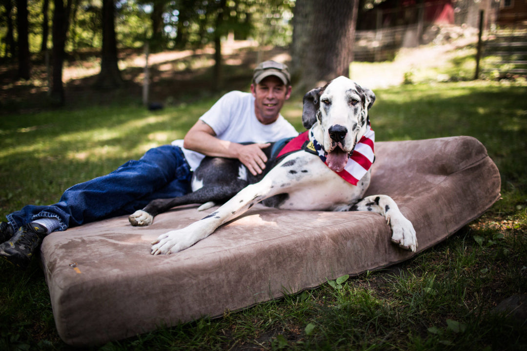 Paying it Forward: The Story of Steve & Service Dog Charlie