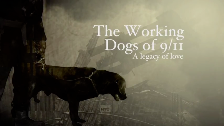 The Working Dogs of 9/11: A Legacy of Love