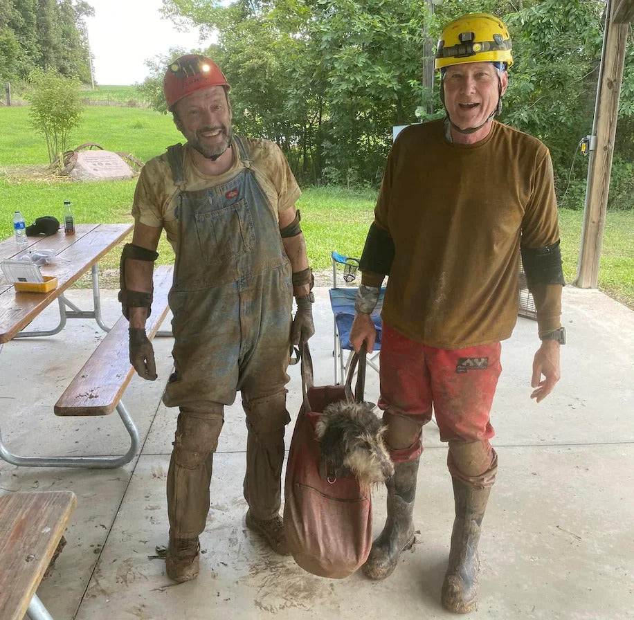 After Two Long Months, Dog is Rescued from 500 Feet Underground