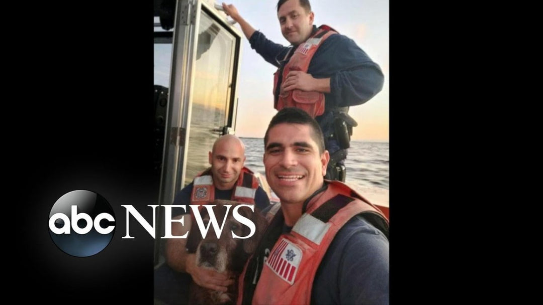 Dog rescued by US Coast Guard