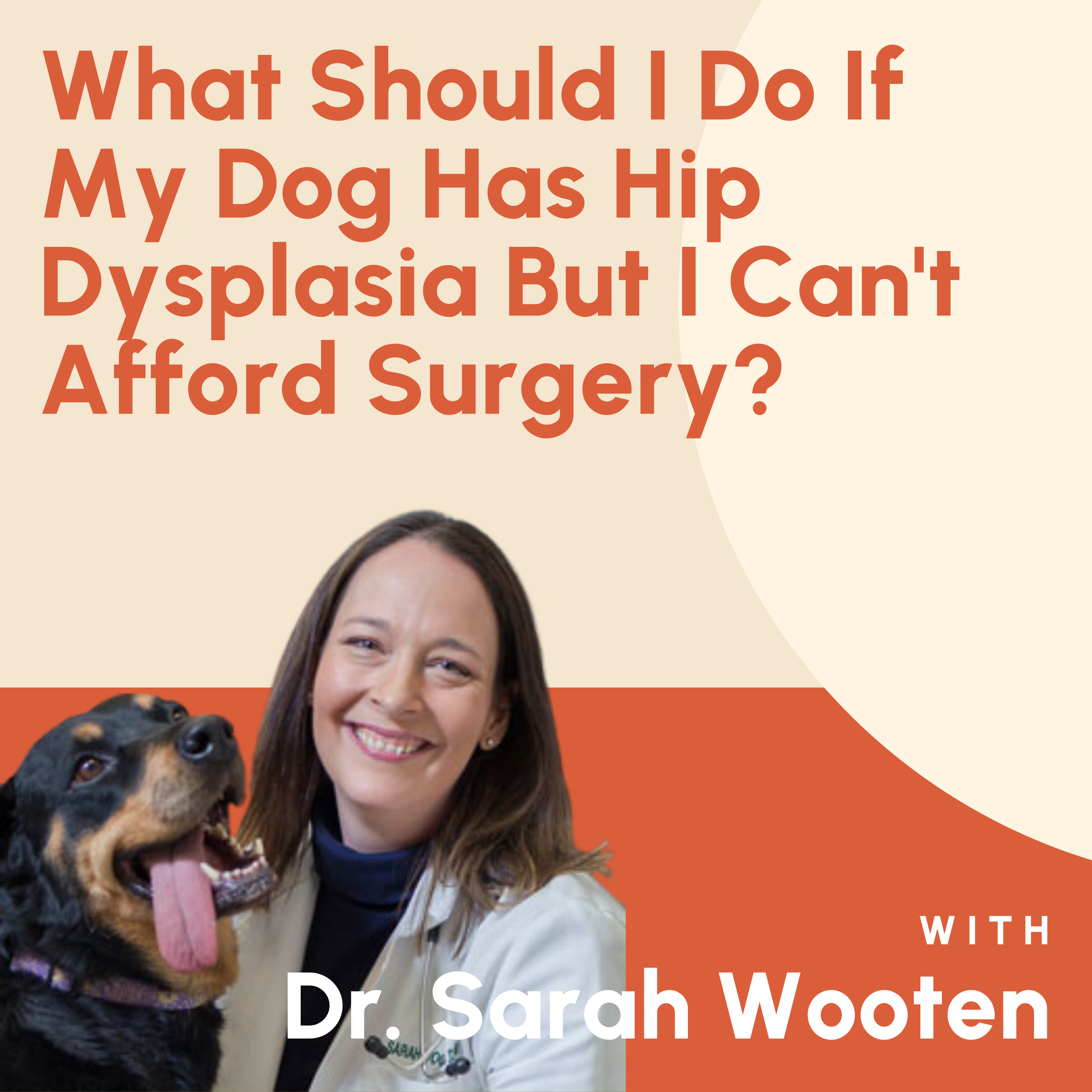 What Should I Do If My Dog Has Hip Dysplasia But I Can t Afford
