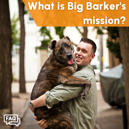What is Big Barker's Mission?