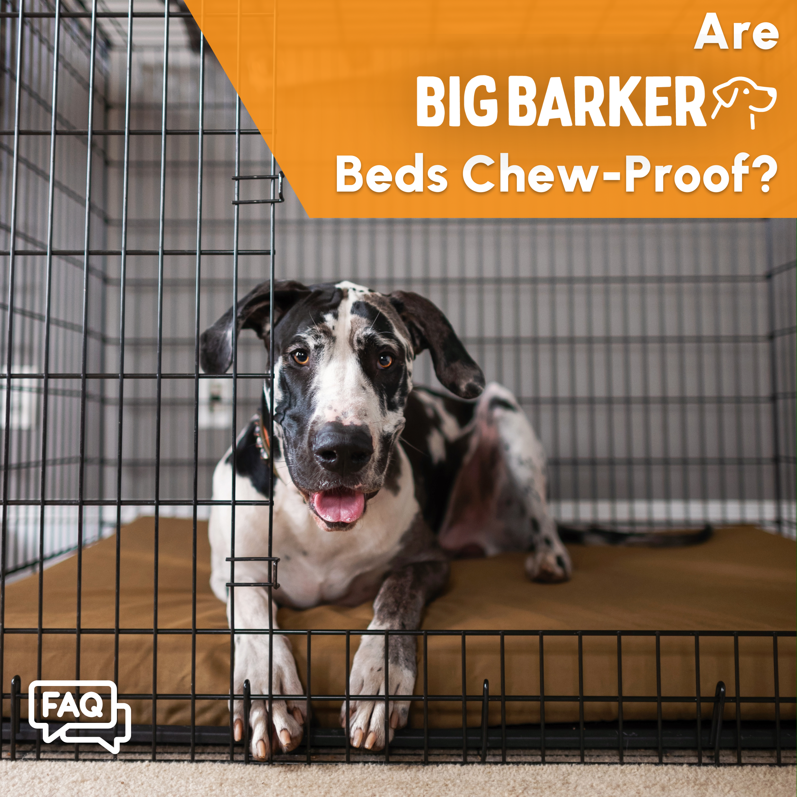 Dog chews sales bed in crate