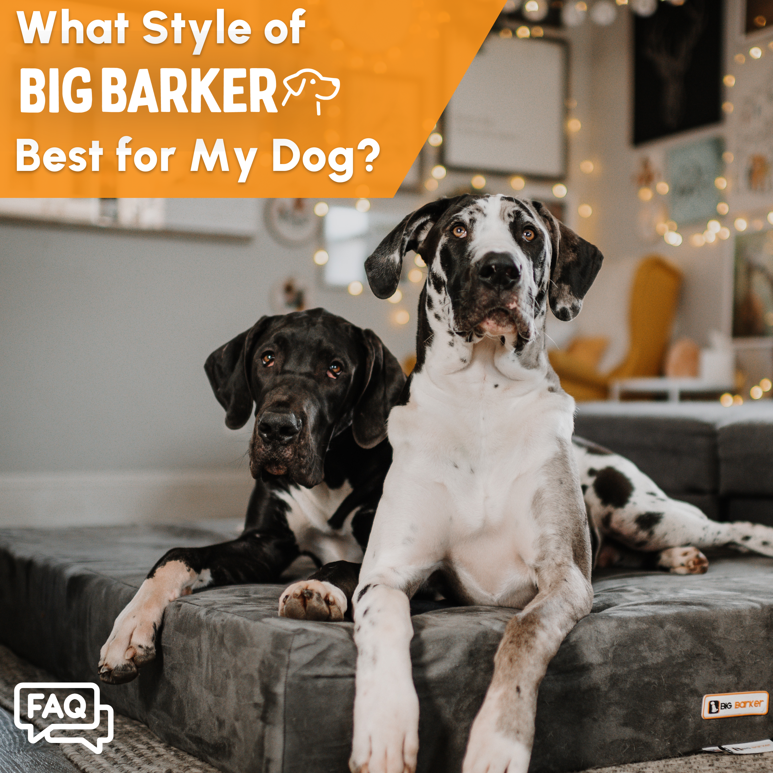 What Style of Big Barker Bed is Best for My Dog