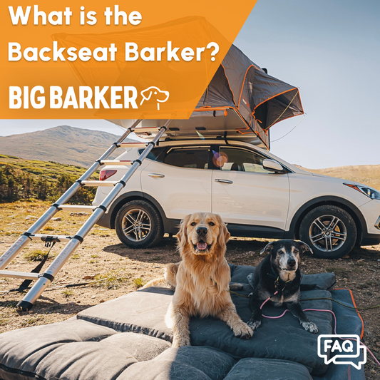 What is the Backseat Barker?