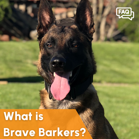What is Brave Barkers?