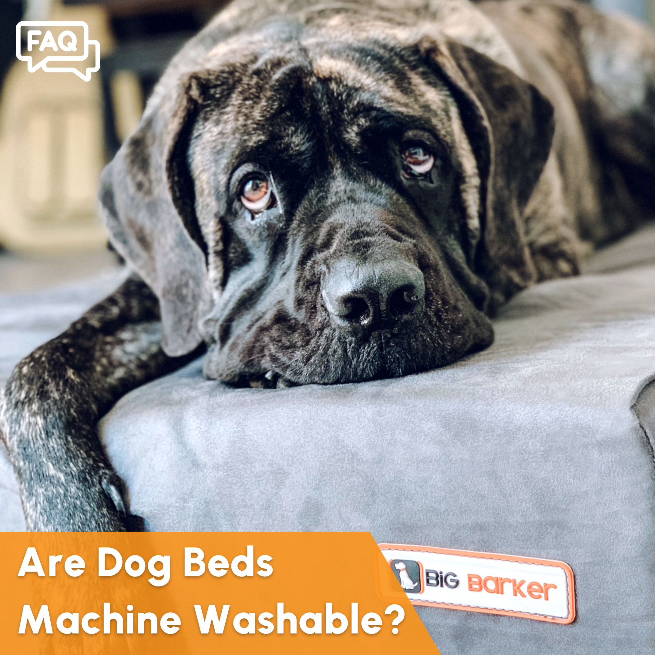 Machine washable dog beds online