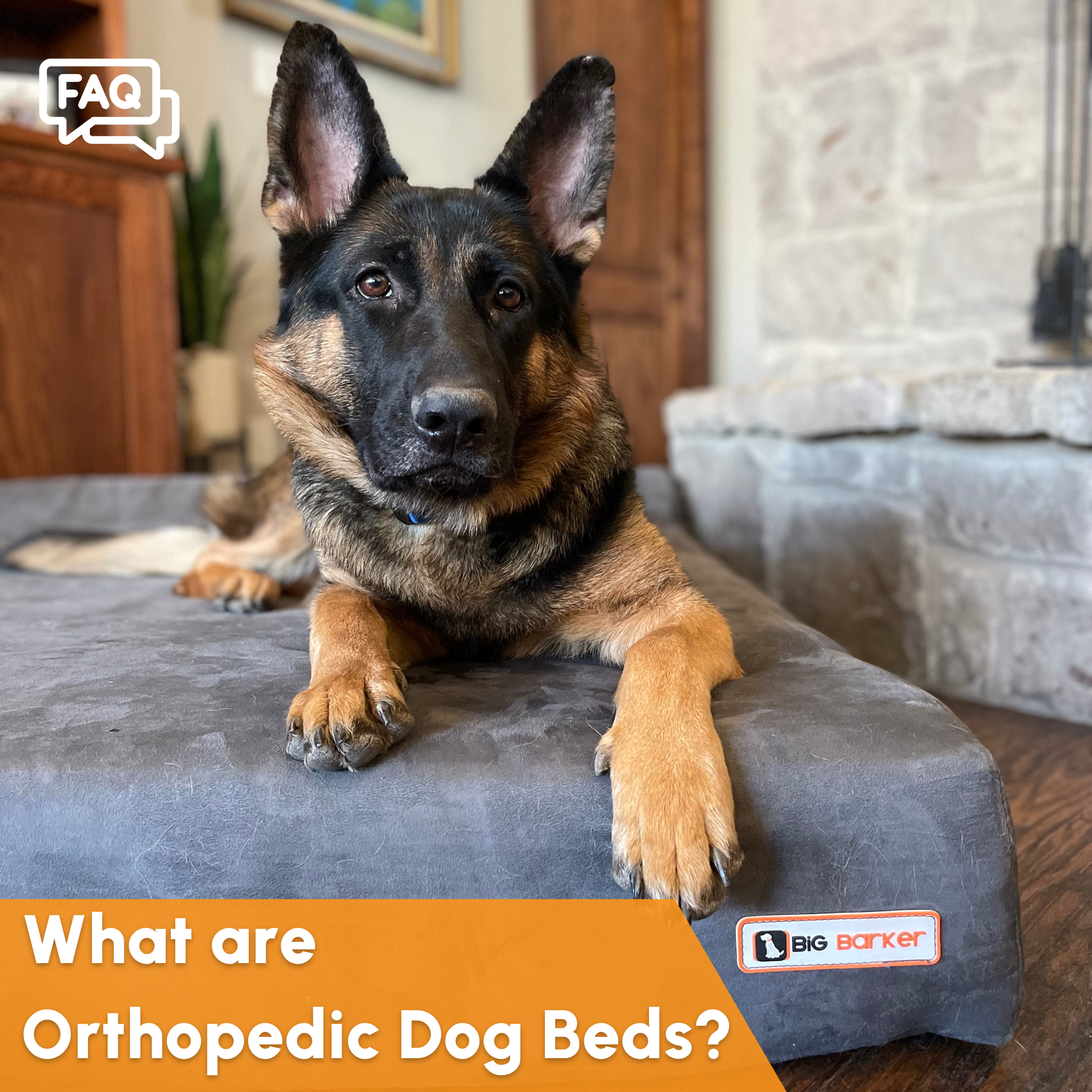 What are Orthopedic Dog Beds Big Barker