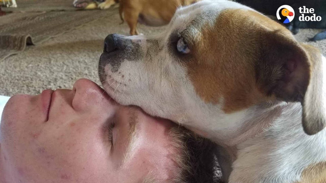 Guy Carries His Rescue Dog Everywhere He Goes
