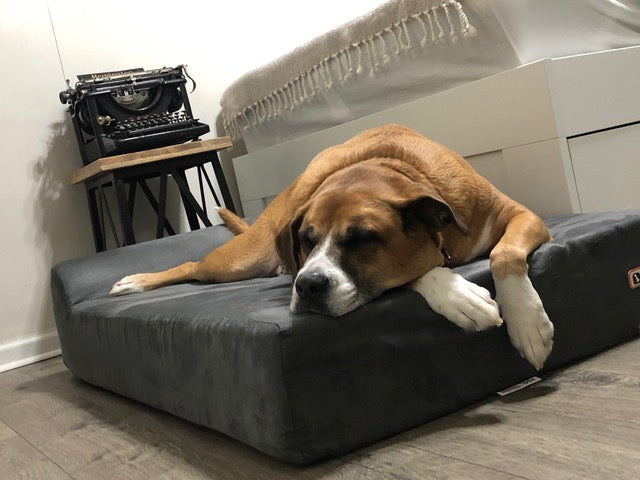 No More Limping for Jake