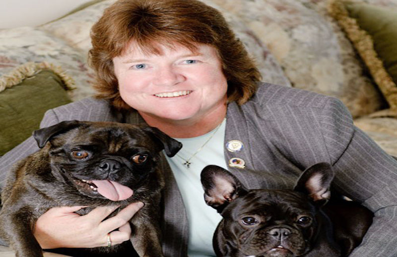 What's the Link Between Nutrition and Your Dog's Arthritis? Find Out Here!