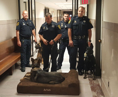 K-9 Officers from Montgomery County, PA Receive Big Barker Beds