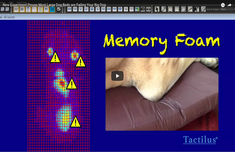 Disturbing Pressure Mapping Study Results