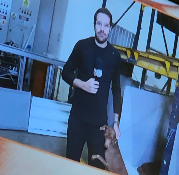 Rescued Dog Won’t Stop Hugging News Reporter On Live TV