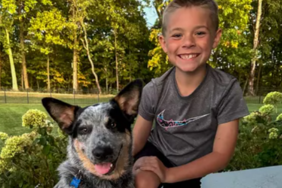 Mom Surprises Son with Puppy Rescued from Local Animal Control