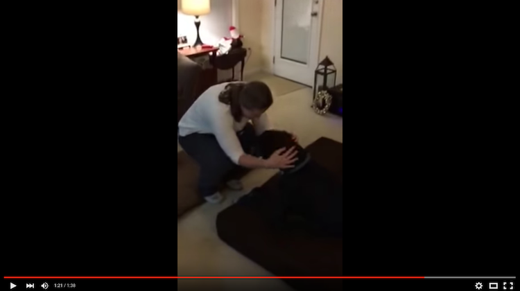 Unboxing a GIANT Big Barker Dog Bed!
