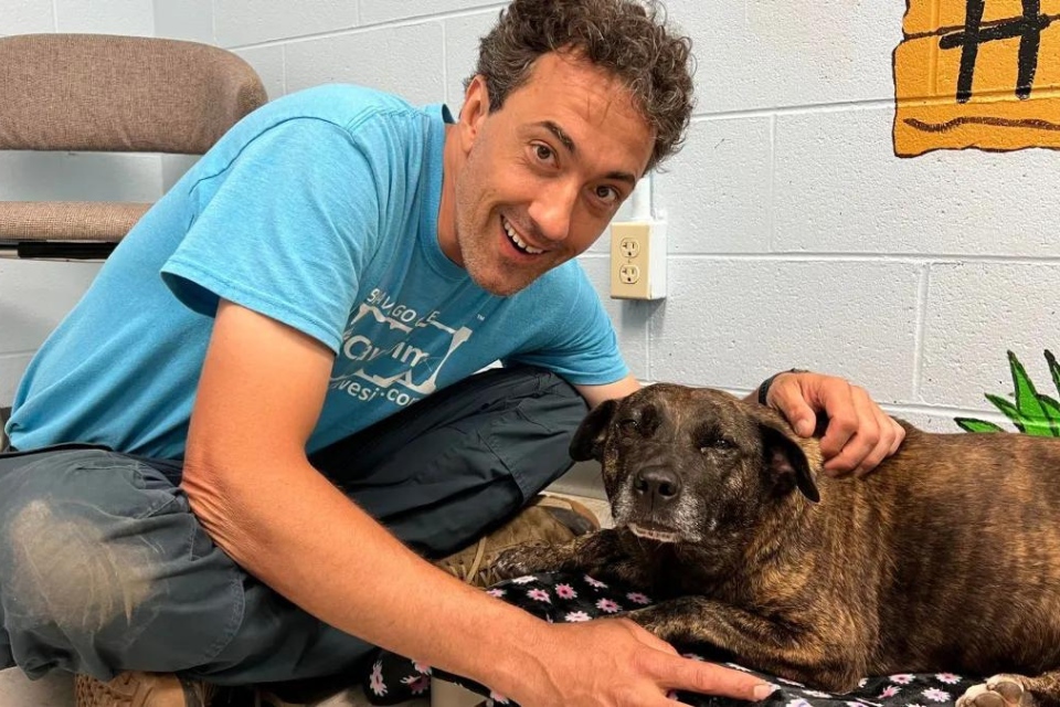 Dog Miraculously Rescued from Cave
