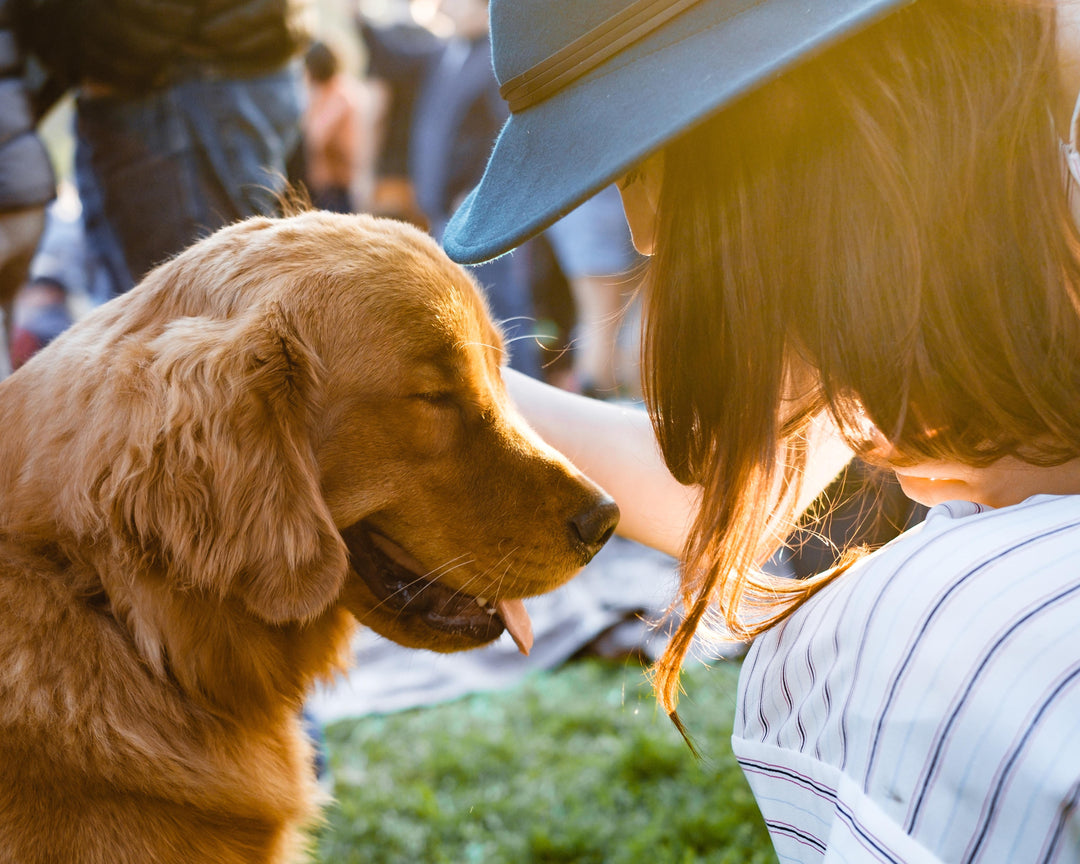 The Biggest Changes in Your Life Once You Get a Dog