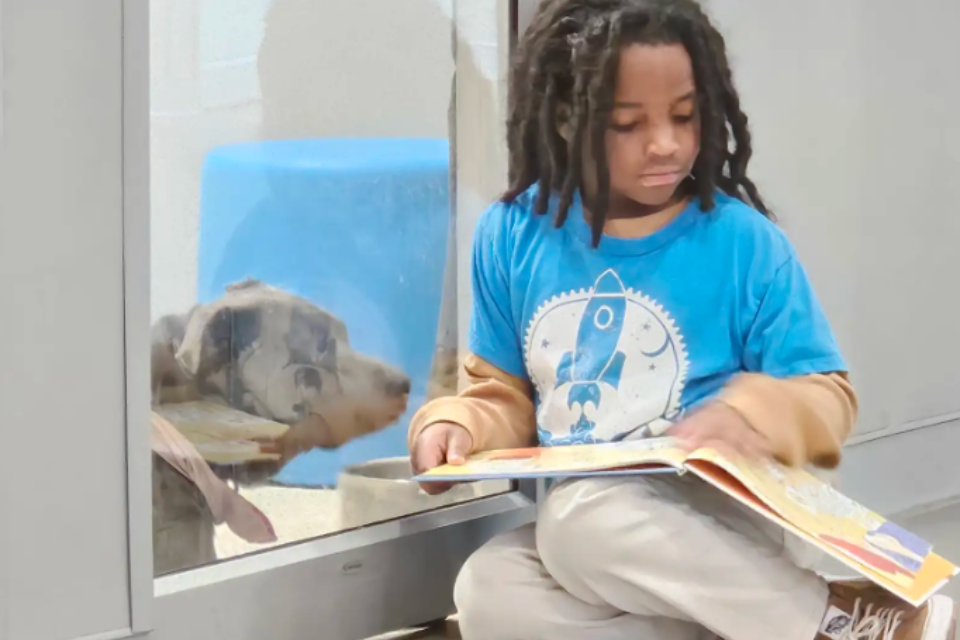 The Healing Power of Storytime: Hopper’s Journey