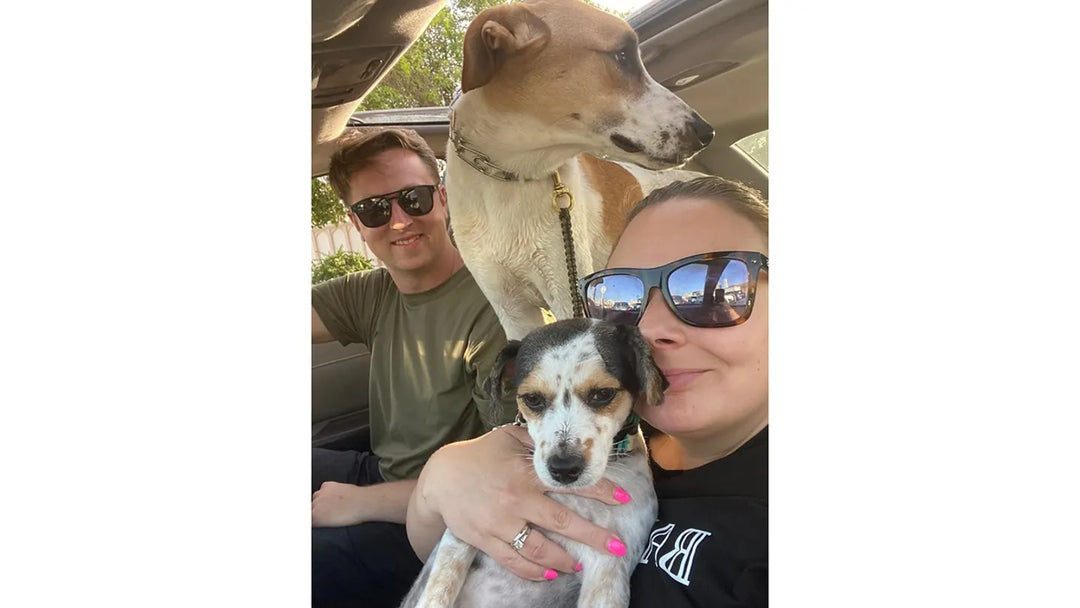 U.S. Navy Sailors are Reunited with Rescued Dogs