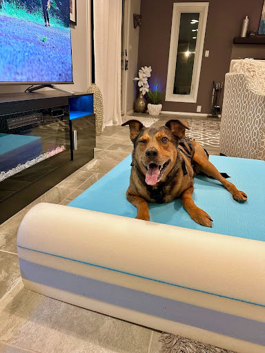 Chillin’ in Comfort: Barker Beds BarkerChill+ Bed Review