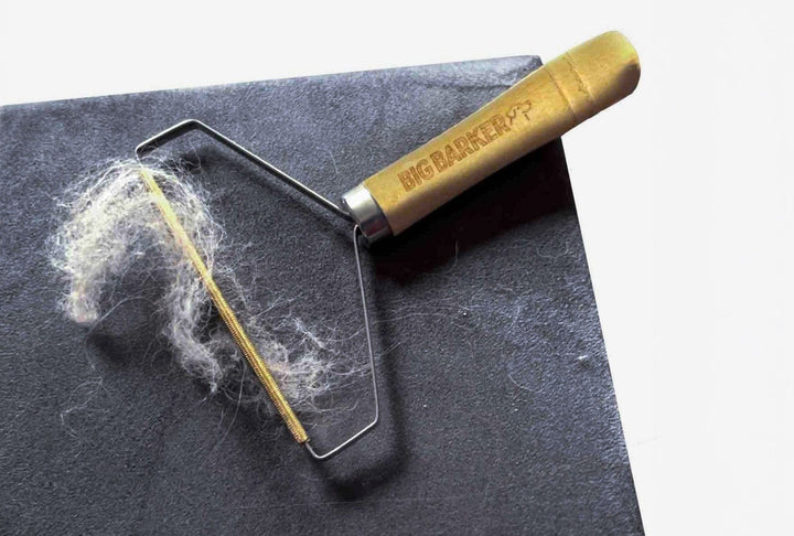 Clean Sweep Pet Hair Remover