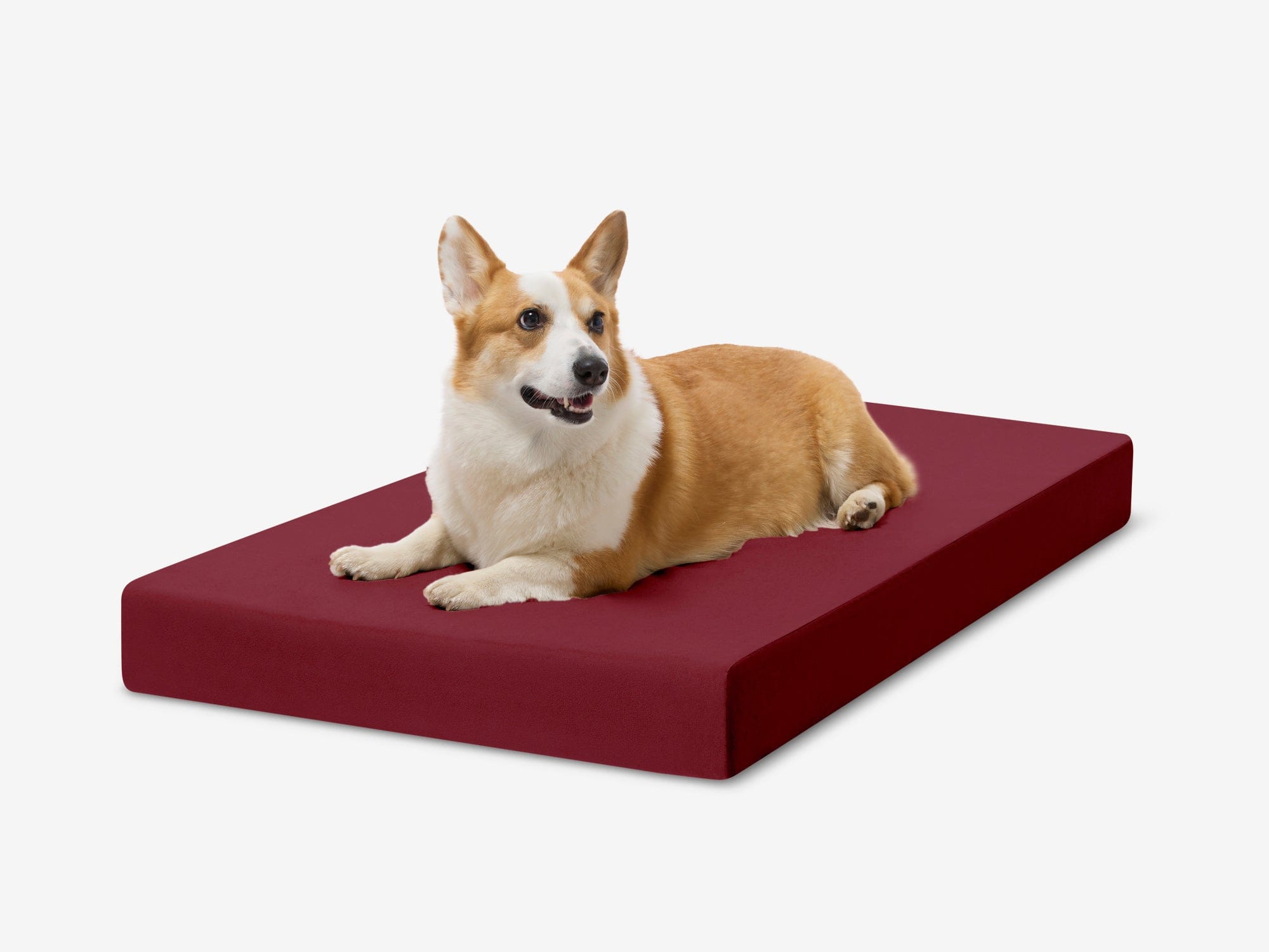 OrthoLift Crate Bed Big Barker – Barker Beds - Main Image