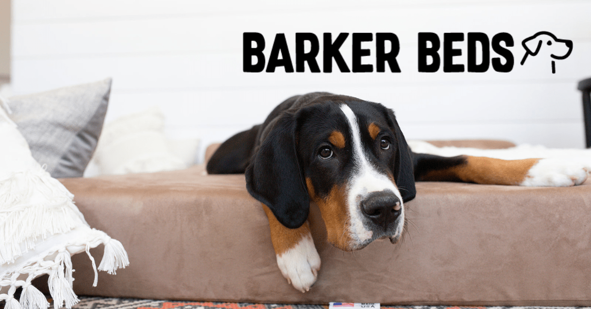 Better Sleep for All Dogs | Barker Beds