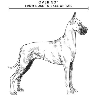 XXL Bed Dog Example