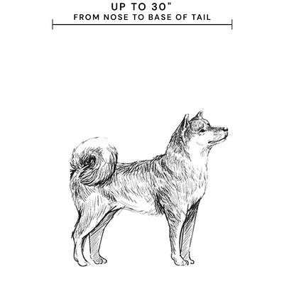 For dogs up to 30" from nose to base of tail