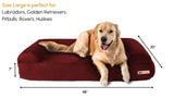 option1:sofa-edition|option2:large-48-x-30-x-7|option3:burgundy
