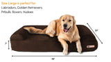 option1:sofa-edition|option2:large-48-x-30-x-7|option3:chocolate