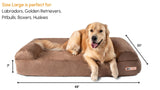 option1:sofa-edition|option2:large-48-x-30-x-7|option3:khaki