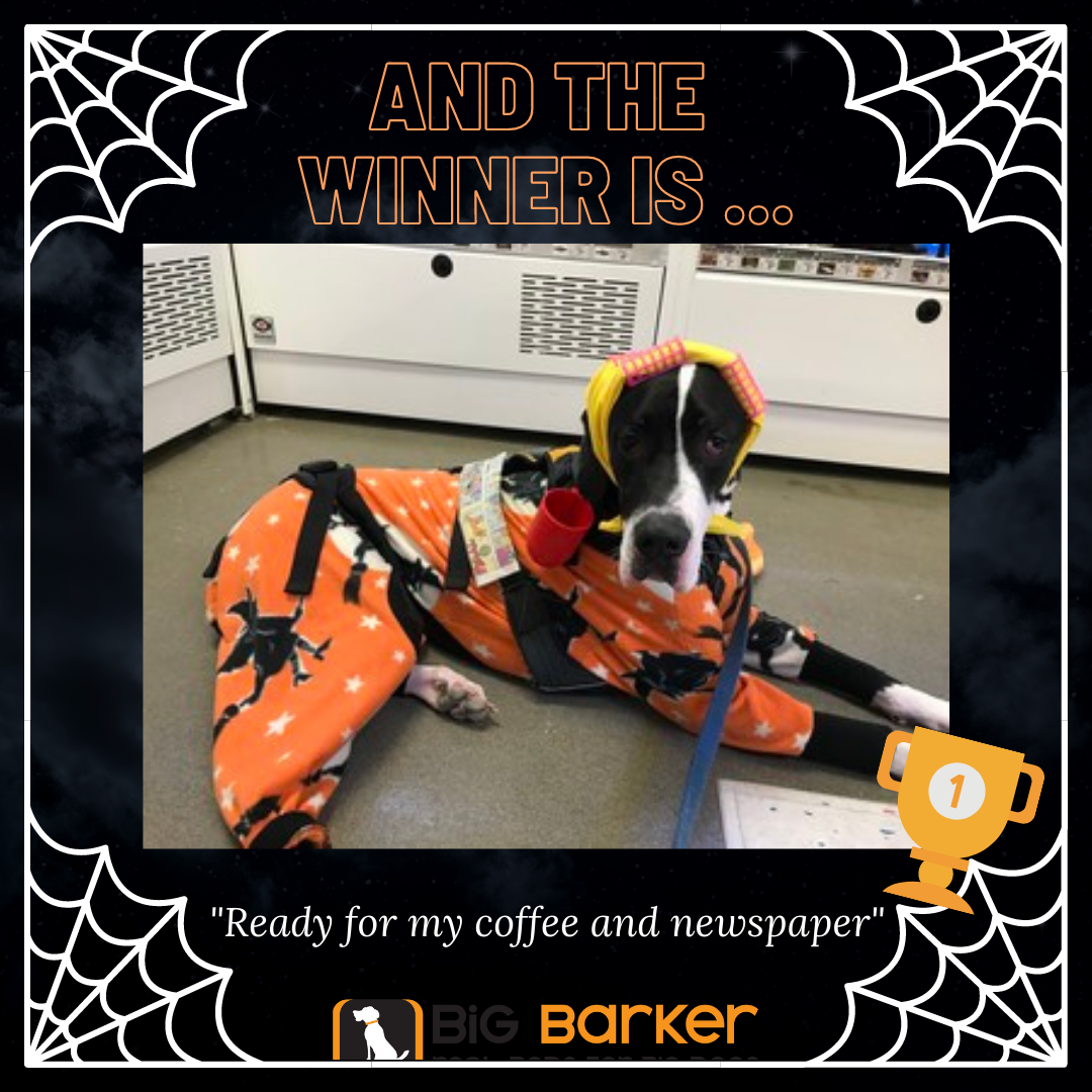 Congratulations to these Spooky Pups!