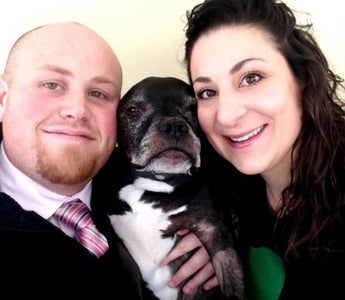 Couple Saves Over 300 Dogs to Honor Their Dog