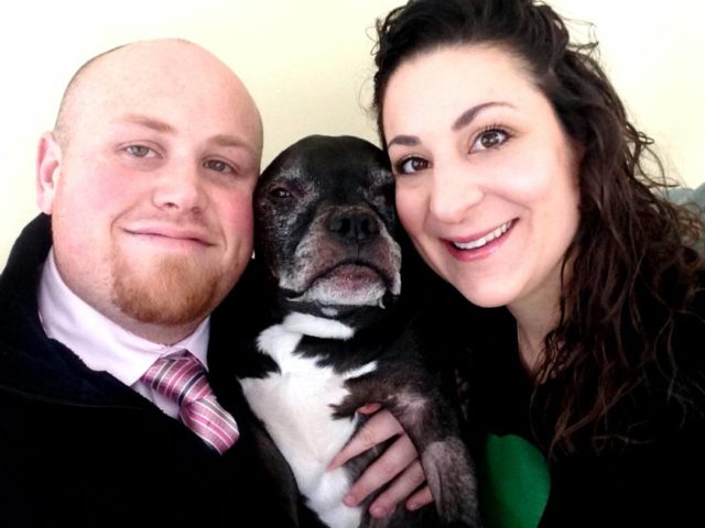 Couple Saves Over 300 Dogs to Honor Their Dog