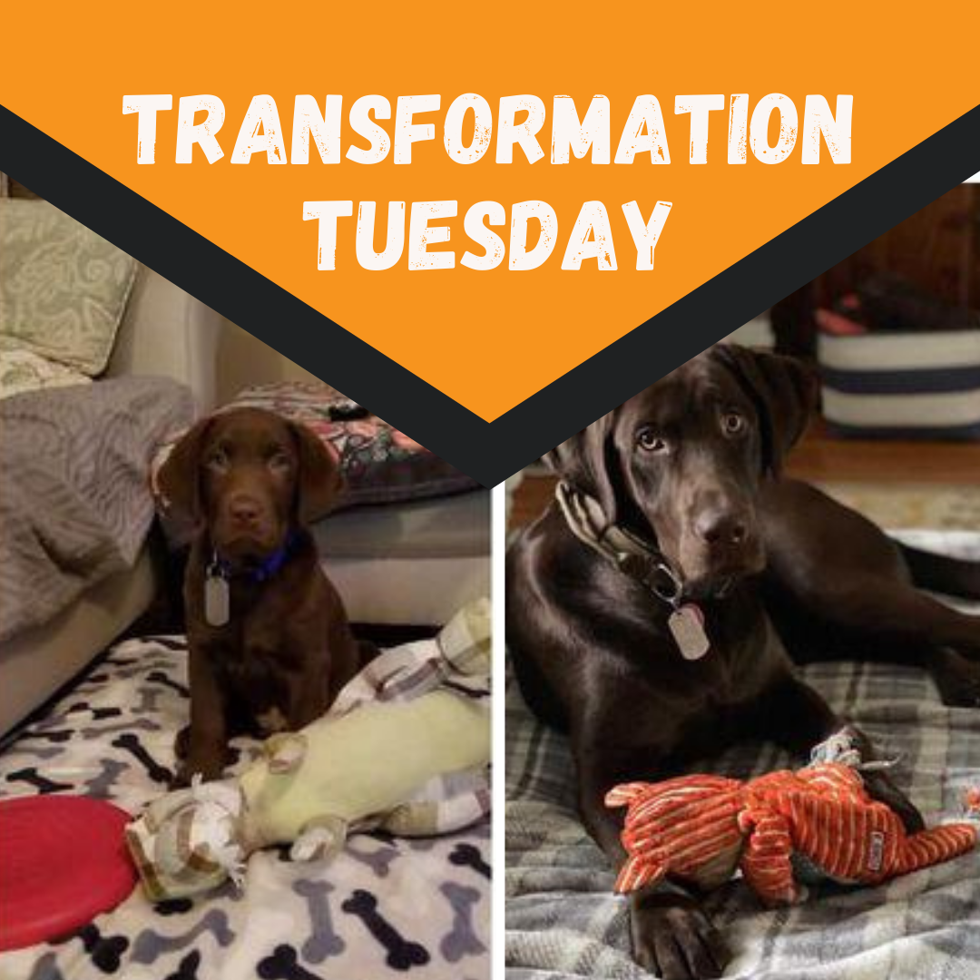 Happy Transformation Tuesday!