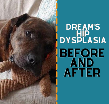 Dream's Hip Dysplasia
