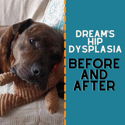 Dream's Hip Dysplasia