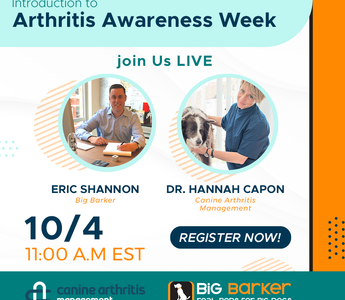 Treating Canine Arthritis  | Arthritis Awareness Week Day 1 | Eric Shannon and Dr. Hannah Capon