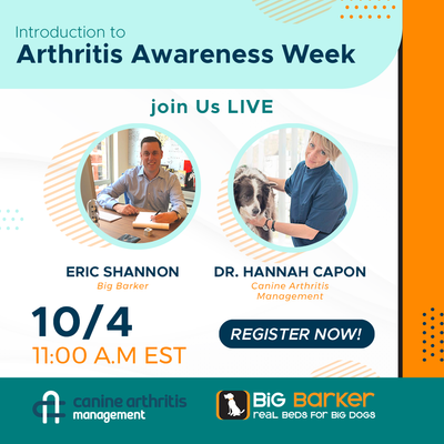 Treating Canine Arthritis  | Arthritis Awareness Week Day 1 | Eric Shannon and Dr. Hannah Capon