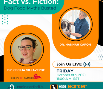 Fact vs. Fiction: Dog Food Myths Busted  | Arthritis Awareness Week Day 5 | Dr. Hannah Capon and Dr. Cecilia Villaverde
