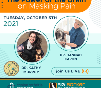 The Power of the Brain on Masking Pain  | Arthritis Awareness Week Day 2 | Dr. Hannah Capon and Dr. Kathy Murphy