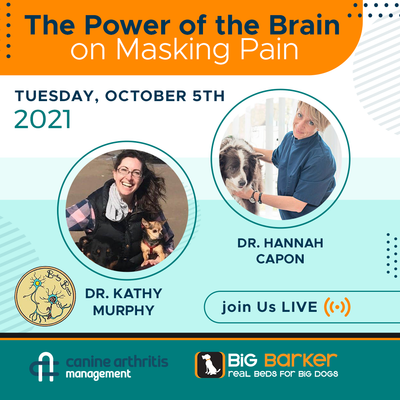 The Power of the Brain on Masking Pain  | Arthritis Awareness Week Day 2 | Dr. Hannah Capon and Dr. Kathy Murphy