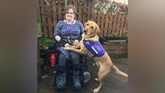 Service Dog Helps Fix Woman's Joint Dislocations