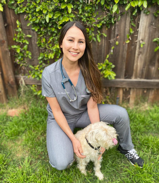 Dr. Rachel Mar Speaks About the Big Barker Bed